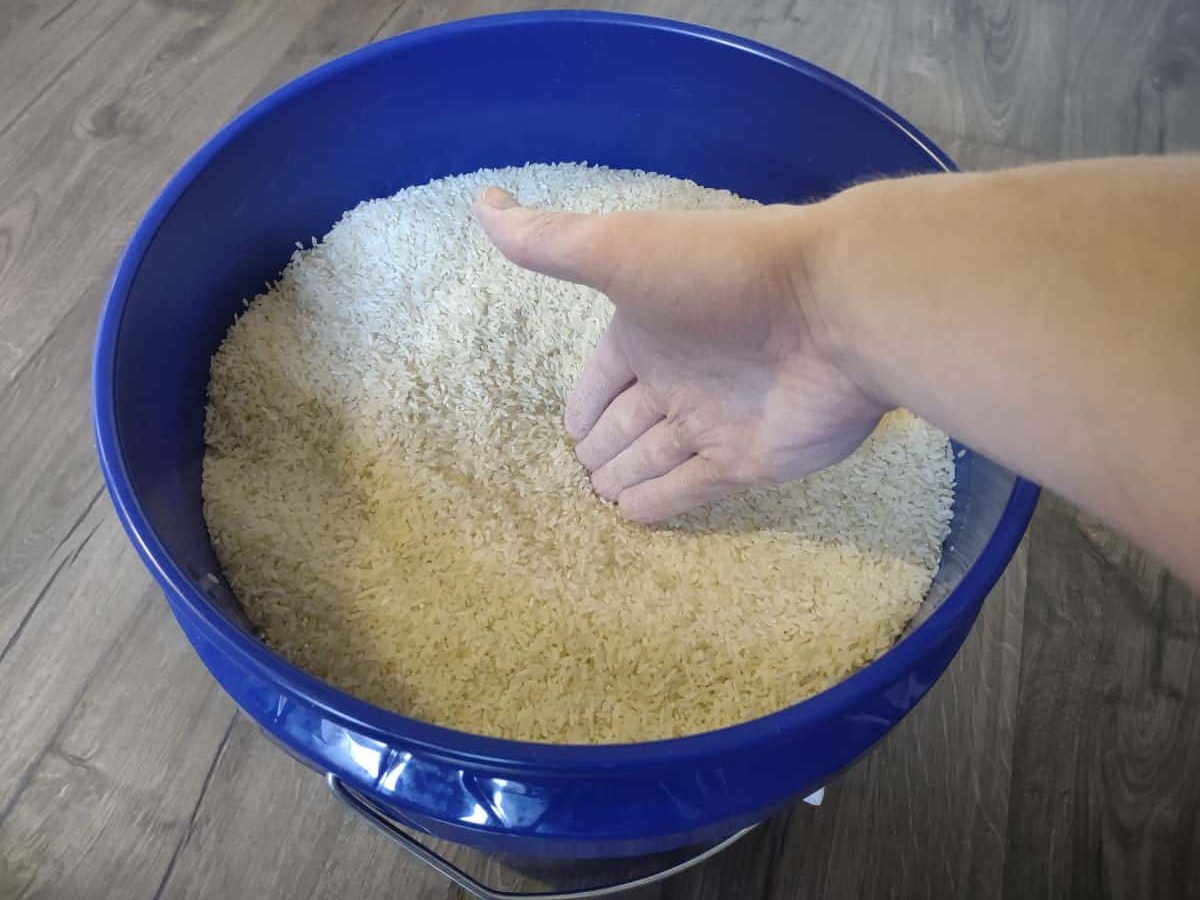What is Rice Bucket Training in Baseball?