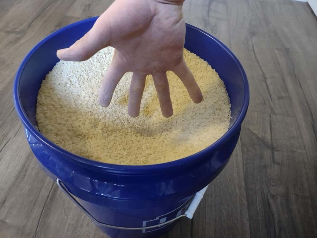 What is Rice Bucket Training in Baseball?